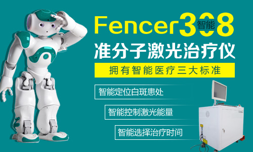 Fencer308